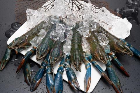 🎥森之映像📸 - 生鮮食品拍攝