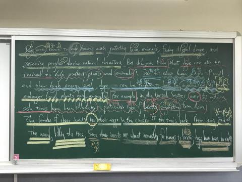 Sam - 每次這樣寫都很麻煩 但孩子會了 就值得囉 