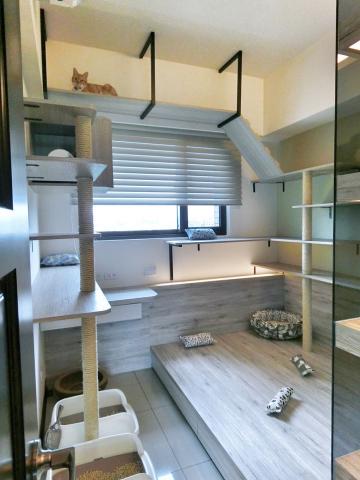 永固麗室內裝潢設計有限公司 - 是貓奴們在裝修時最重視的一件事情,而身為設計師,設計之初可以透過理解牠們的動物性格跟生活型態,從牠們的生活角度切入。 比起水平開闊的橫向空間,貓族們更重視垂直空間的活動性,貓咪有一身好輕功,具備跳躍翻牆的本領,要讓牠們在室內跟野外一樣自在,一定要有可以跳上跳下的垂直空間。同時跳台的材質、樣式也會因應面積大小有所調整,設計者的角色,必須創造遊戲空間的同時也保留主人活動的便利性,並兼顧設計的美感。  永固麗室內裝潢設計有限公司 - 是貓奴們在裝修時最重視的一件事情,而身為設計師,設計之初可以透過理解牠們的動物性格跟生活型態,從牠們的生活角度切入。 比起水平開闊的橫向空間,貓族們更重視垂直空間的活動性,貓咪有一身好輕功,具備跳躍翻牆的本領,要讓牠們在室內跟野外一樣自在,一定要有可以跳上跳下的垂直空間。同時跳台的材質、樣式也會因應面積大小有所調整,設計者的角色,必須創造遊戲空間的同時也保留主人活動的便利性,並兼顧設計的美感。