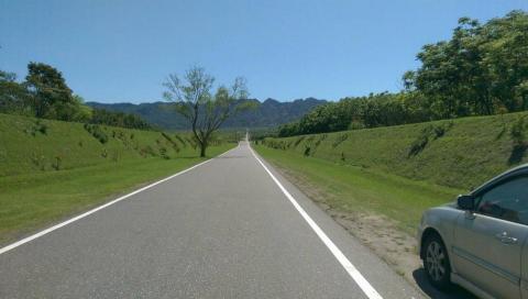 提供e14燈服務的專家翁倩