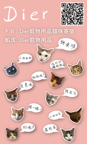 E&B視覺創作設計 - 名片設計 E&B視覺創作設計 - 名片設計