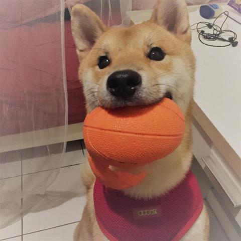 提供麻豆吳夢夢服務的專家吳蘿倫Lauren