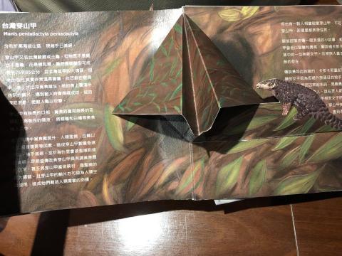 蔡馥伃 - 手工動物立體書