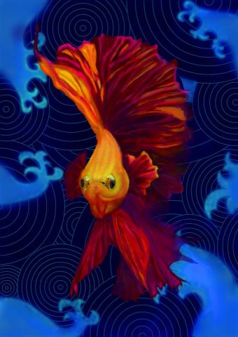 蔡馥伃 - 鬥魚插畫