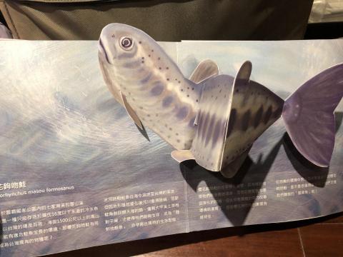 蔡馥伃 - 手工動物立體書