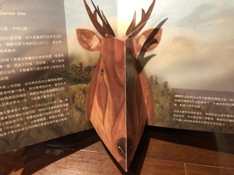 蔡馥伃 - 手工動物立體書