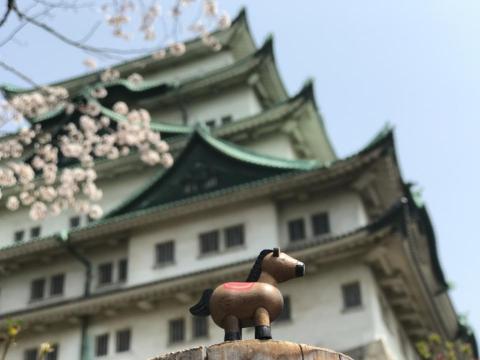 阿馬 - 人像攝影-小馬來去名古屋