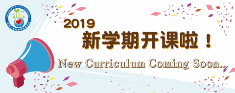 Just Just Hub 就適央行 - 中國大陸幼教培訓及教材教具出版機構官網Banner。