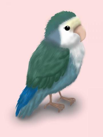 謝拔辣個人工作室 - CG插畫 謝拔辣個人工作室 - CG插畫