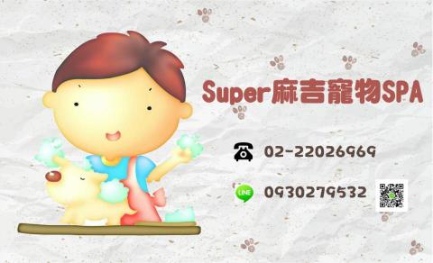 提供寵物美容丙級服務的專家呂庭儀