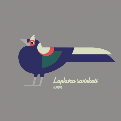 提供wixsite服務的專家劉祐君