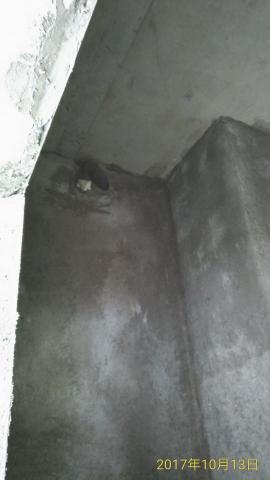 維豐室內裝修工程工作室 - 