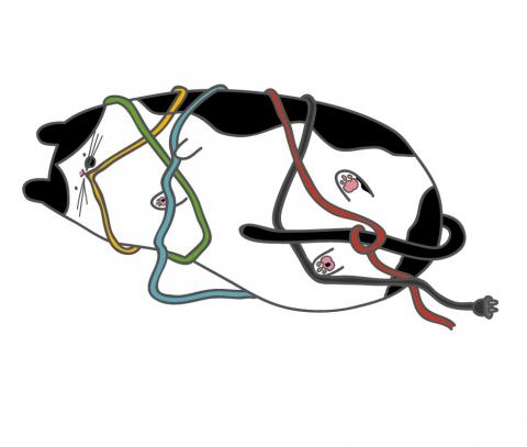 有一隻貓 - 插畫