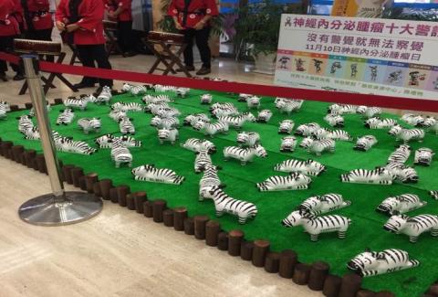 蕭羽芹 - 神經內分泌腫瘤十大警訊&mdash;斑馬公仔巡迴展