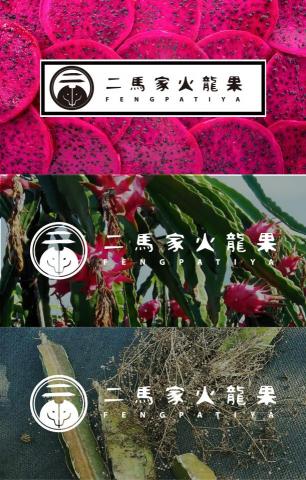 Ellen Feng - 品牌設計 - Banner
二馬家火龍果