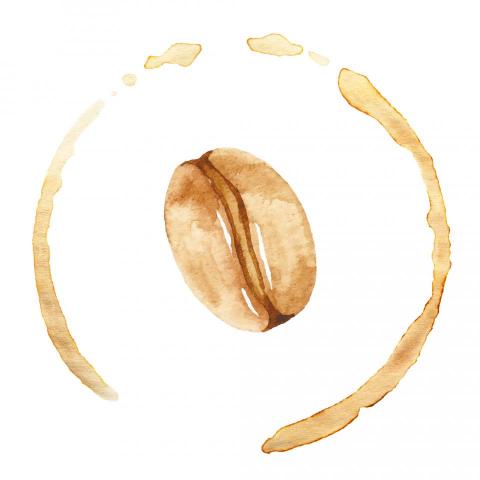 提供洗脱烘服務的專家高冠勳