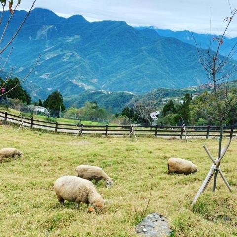 提供斷食app ios服務的專家沈家宇