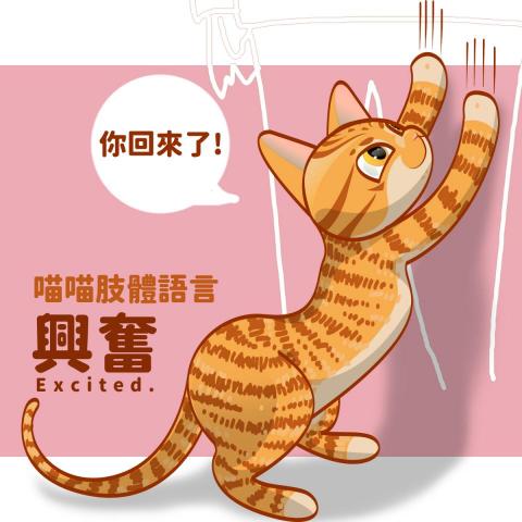 昍隆實業有限公司 - 插畫。
客戶：日日DxD (自家網路平台)