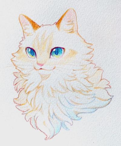 MOMON設計 - 手繪色鉛筆插畫 MOMON設計 - 手繪色鉛筆插畫