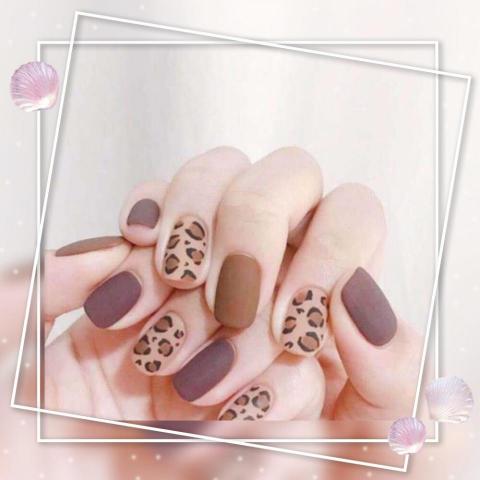 Dana魔力美學 - 時而素雅、時而狂野