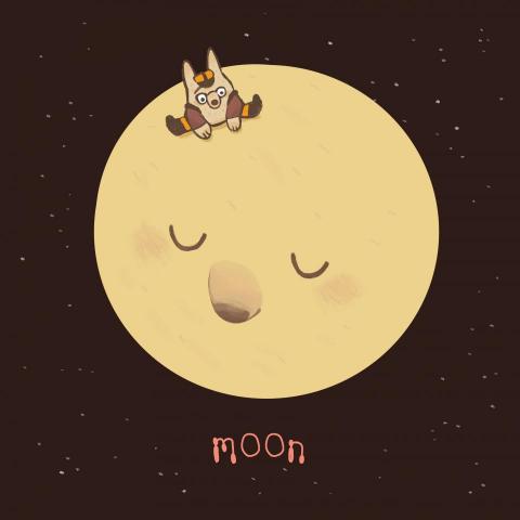 貳 - 系列插畫設計