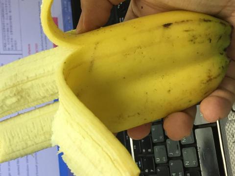 提供蚊子服務的專家江蚊子