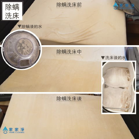 家家淨清潔坊 - 除螨洗床前後 家家淨清潔坊 - 除螨洗床前後