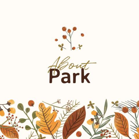 提供dcard寫手服務的專家Lin