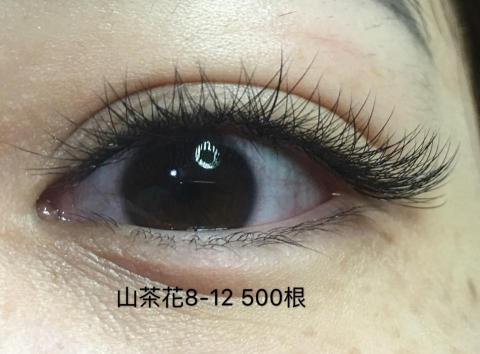 水銥釩美學SPA - 6D500根