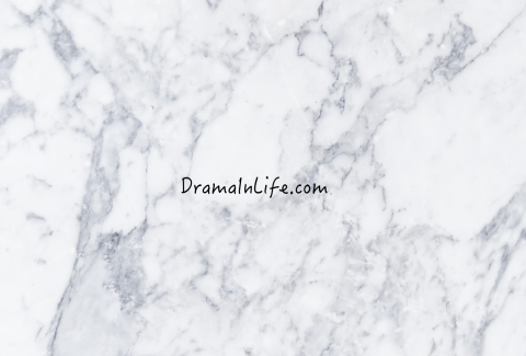 提供apa股價服務的專家Cecilia Huang