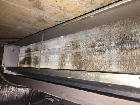 MINI清潔維修保養工作室 -  MINI清潔維修保養工作室 -