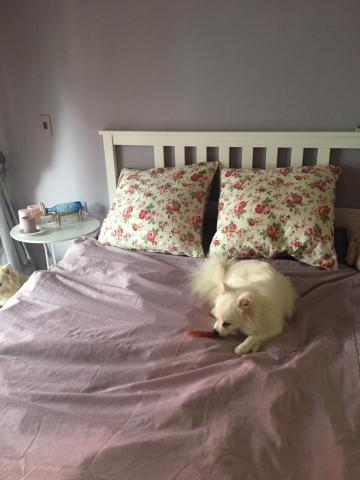 友信油漆工程 - 住家調色乳膠漆