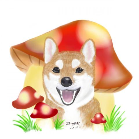 尼德整合網路行銷 - 