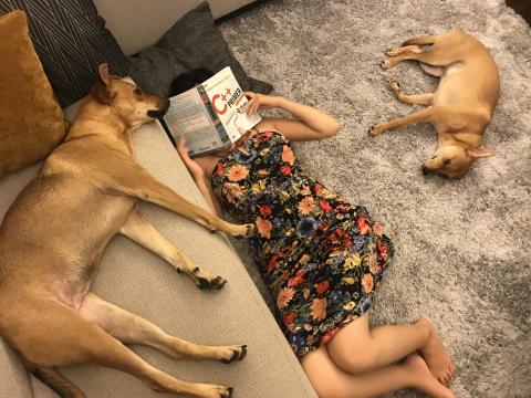 提供2d轉3d圖服務的專家Yve