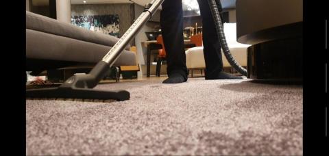 蟎有去-專業到府除蟎除箘 - 地毯除蹣殺菌