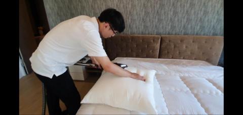 蟎有去-專業到府除蟎除箘 - 枕頭除螨