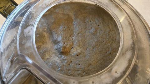 蟎有去-專業到府除蟎除箘 - 除螨後汙水