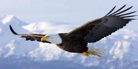 提供烏克麗麗服務的專家吳佳聖