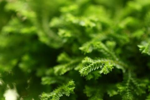 提供n4服務的專家劉佳佳