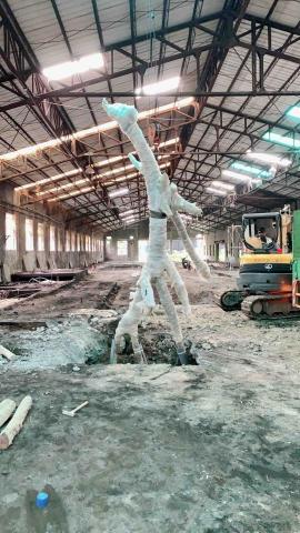 👑TOP👑星耀閣企業行 -  👑TOP👑星耀閣企業行 -