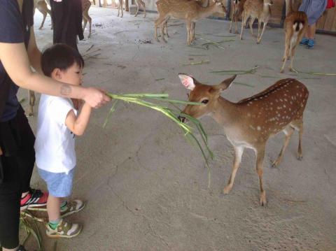 阿龜仔的部落格 -  阿龜仔的部落格 -