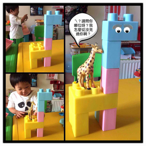 阿龜仔的部落格 -  阿龜仔的部落格 -