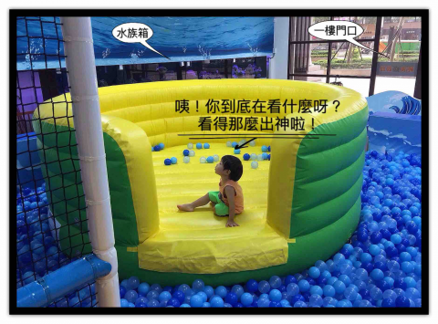 阿龜仔的部落格 -  阿龜仔的部落格 -