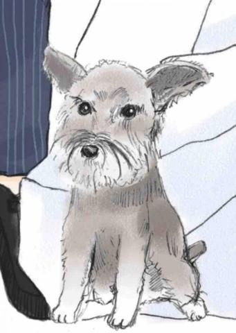 TCH studio -  TCH studio -