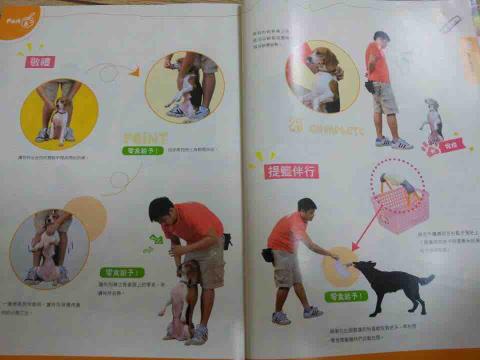 明星愛犬訓練學校 -  明星愛犬訓練學校 -