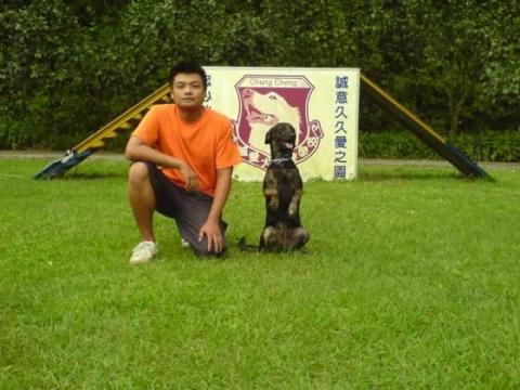 明星愛犬訓練學校 -  明星愛犬訓練學校 -