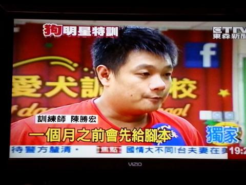 明星愛犬訓練學校 -  明星愛犬訓練學校 -