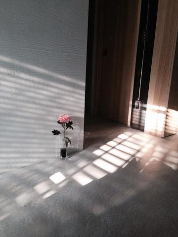 室錦春 - 自己的家