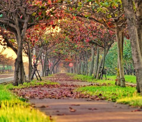 喬群攝影工作室 - 公家單位指定景點合作