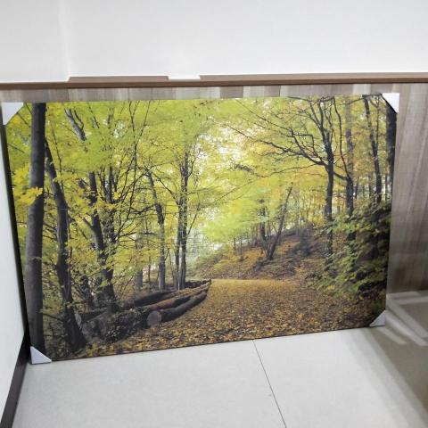 富麗居家 - 大型畫布製作